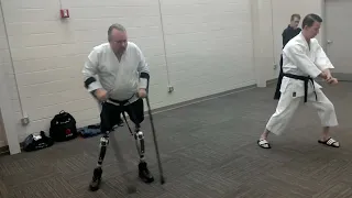 Pinan 5 prosthetics.webp