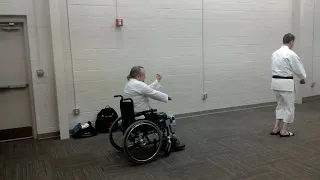 Pinan 3 wheelchair.webp