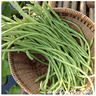 Yard Long bean | Snake bean