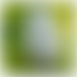 Wax gourd