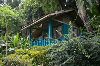 Stay in a riverside Bungalow Comfort @ Eco-Logic