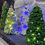 Thumbnail: Christmas Trees - Lighted and fully customizable