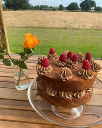 rasp cake.jpeg