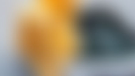 Pray the 9 Days for Life Novena starting Jan. 16