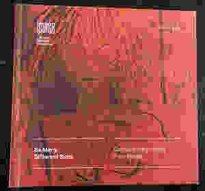 Cover of Imago Mundi Book - Contemporary Artists from Wales