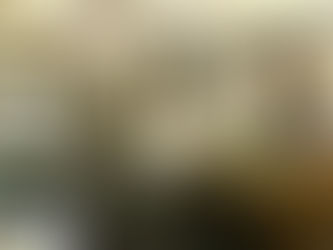Gallery News