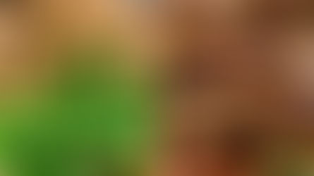 Carne de Porco na Panela de Pressão