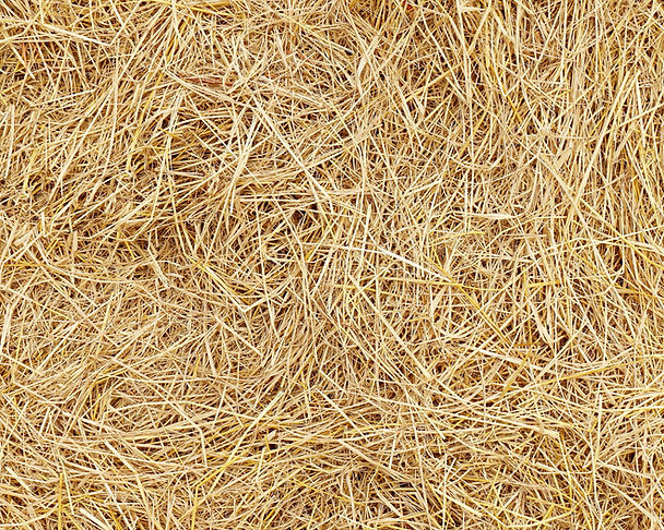 Design ohne Titel.jpg