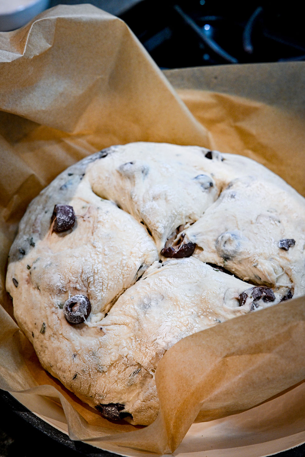 Round olive-studded dough on parchment paper, ready for baking. Set in a dim kitchen. The dough appears fresh and unbaked, exuding a rustic feel.