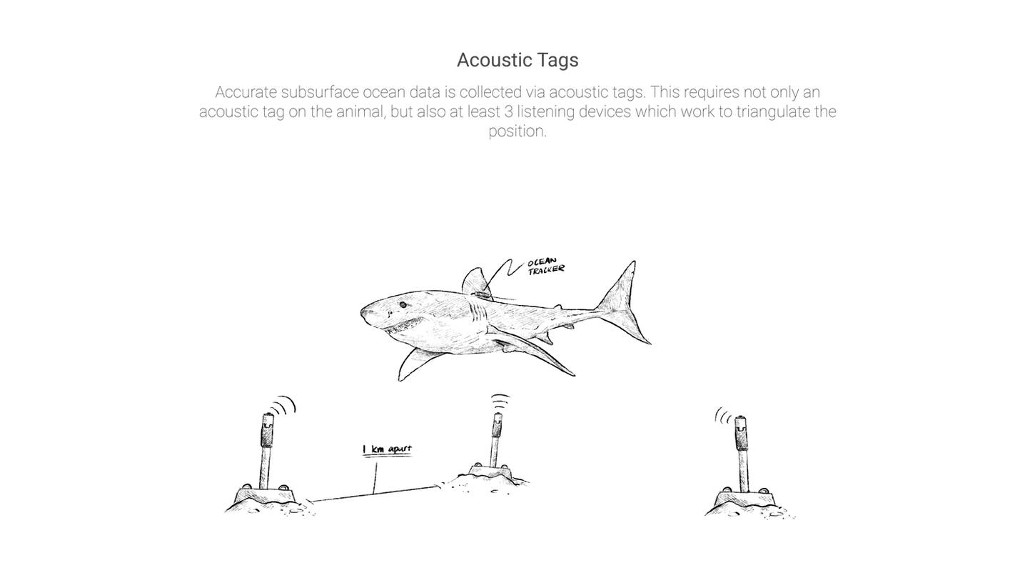 Website Chyrsoara Gallery5.png