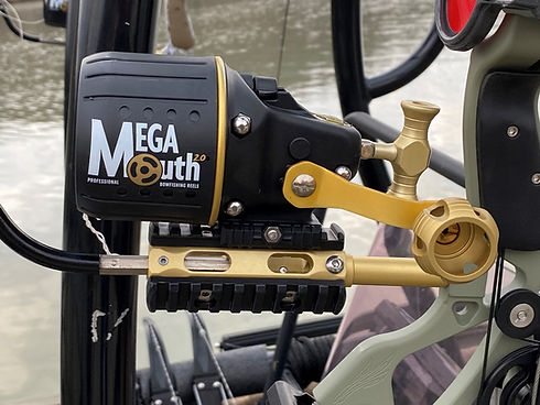 Megamouth closeup.jpg