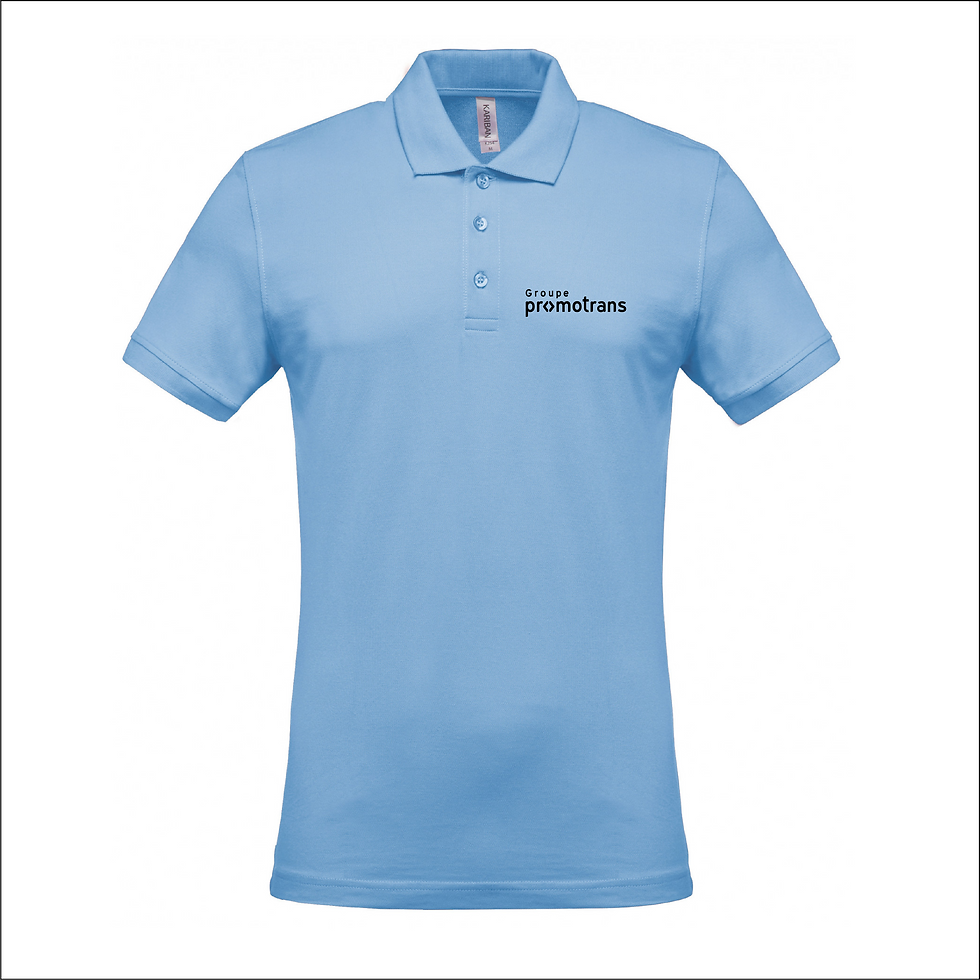 Miniature : GROUPE PROMOTRANS Polo