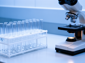 Ecografía, radiografía y resonancia: en qué se diferencian