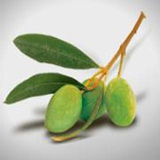 Writer: Bradley King