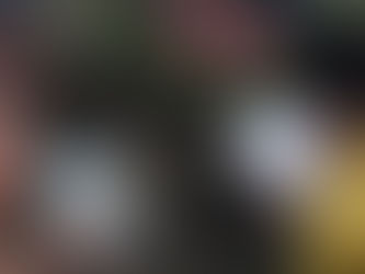 2022 Summer Day Camps at M.A.P.S.