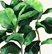 Original oilpainting of green leaves