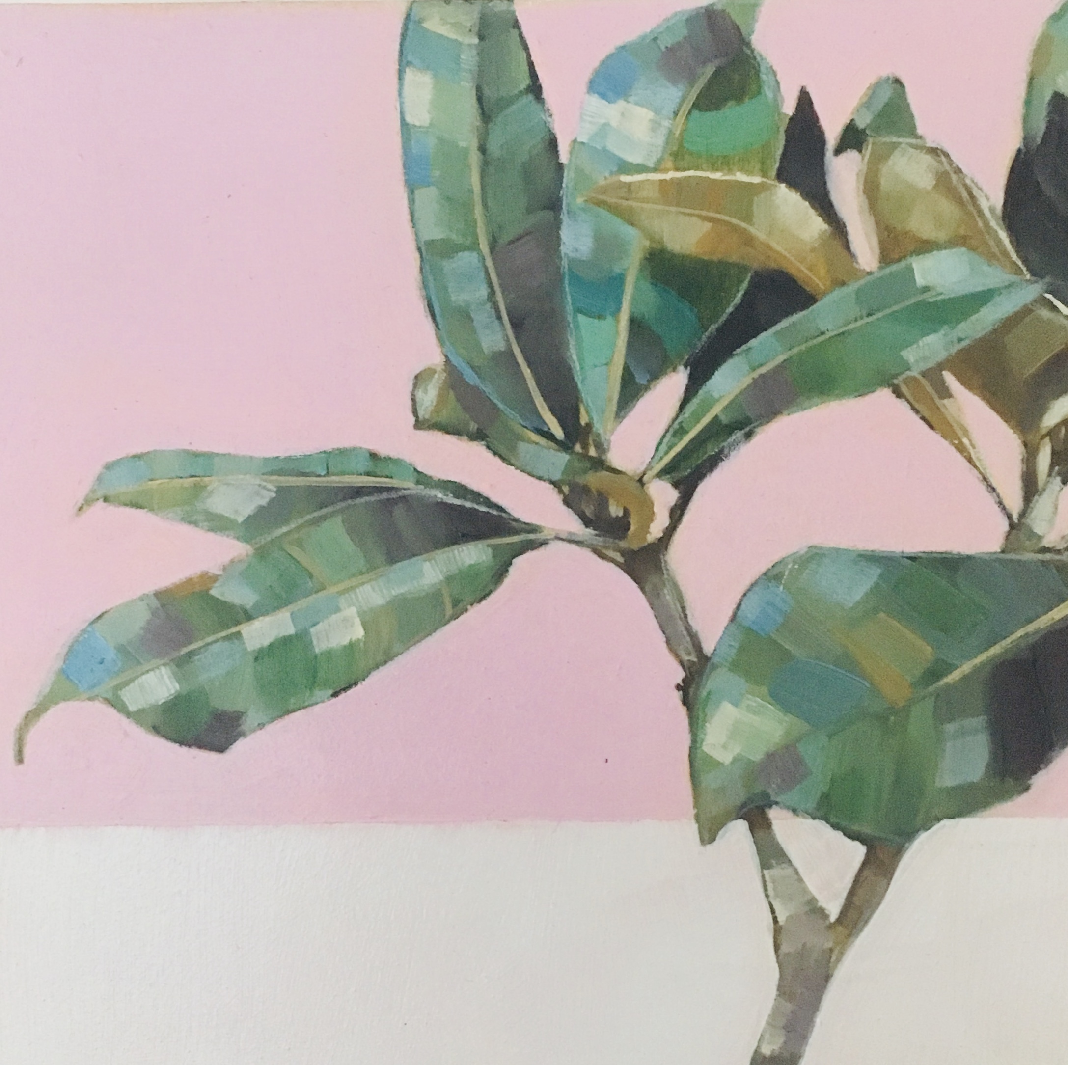 magnolia in pink