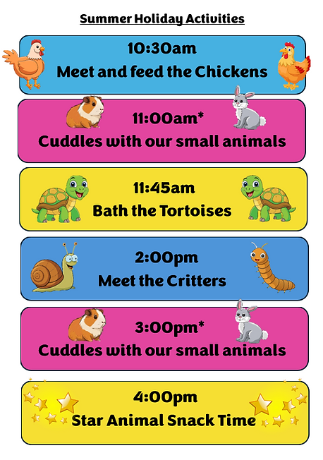summer holls timetable 2026 pic.png