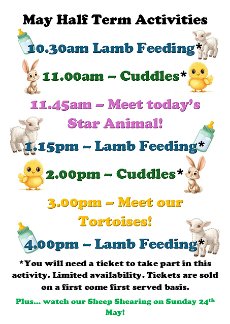 may half term activities 2026.png