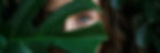 A close-up of a person peeking through green leaves, revealing one blue eye. The lush foliage creates a mysterious, natural mood. 2025 GLOBAL TRENDS: Beauty and Personal Care DiMotta Strategic Adriana Motta