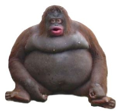ree