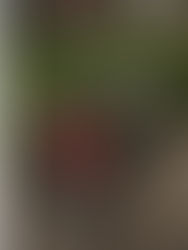 Clean Your Closet & Contribute