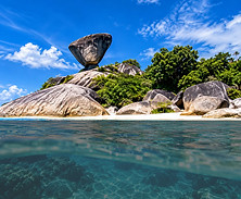 coral sea_edited.jpg