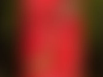 “Perché non esagerare dal momento che il periodo di doni e scambi di tenerezze è giunto?”. Ecco qui per voi una lista di letture naturalistiche che penso possa farvi piacere ripescare, uno spunto per regalare un buon libro a chi amate ed ama a sua volta tutto ciò che è Natura. Ma anche per farvi un auto-regalo certamente gradito!