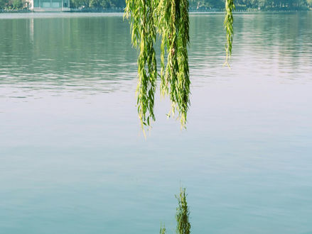 Rappresentazione sincronica di MARZO 2026