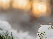  Tracce di Poesia: Ritualità di chiarezza interiore.