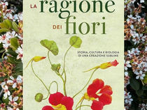 La ragione dei fiori