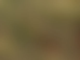 Se fossi ferma osserverei i tuoi movimenti dallo spioncino, ma mi hai insegnato cosa e chi è il ballo le danze che facciamo sugli specchi mentre le bugie scivolano via e il sole e la luna si allineano così fuori così dentro.