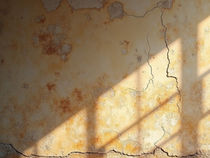 Pensiero critico (poesia)