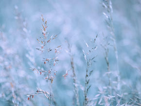 L’empatia nell’aria di primavera