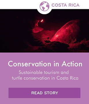 Local stories icon - Corcovado (purple)-