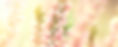 No-14-heather.jpg