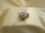 Thumbnail: Champagne Gold Wedding Prong Hairpins
