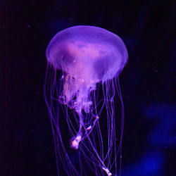 DSC_0080_edited