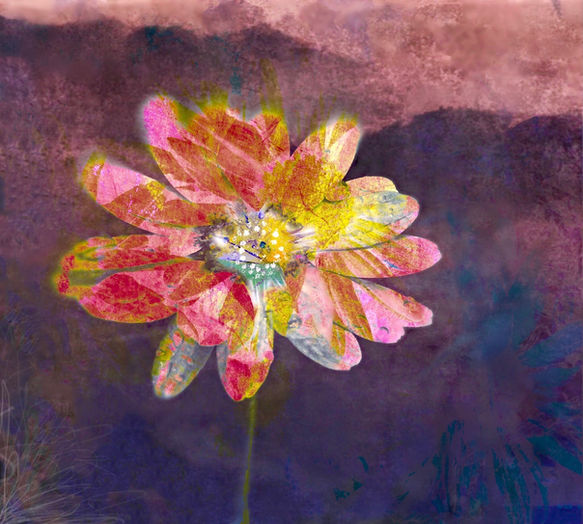 With you, the edges soften | Color Photography | Barbara Lynn Adams | TERAVARNA