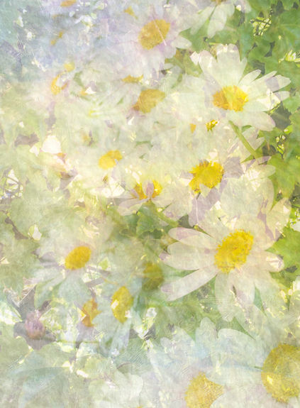 Through you the yellow light warms | Color Photography | Barbara Lynn Adams | TERAVARNA