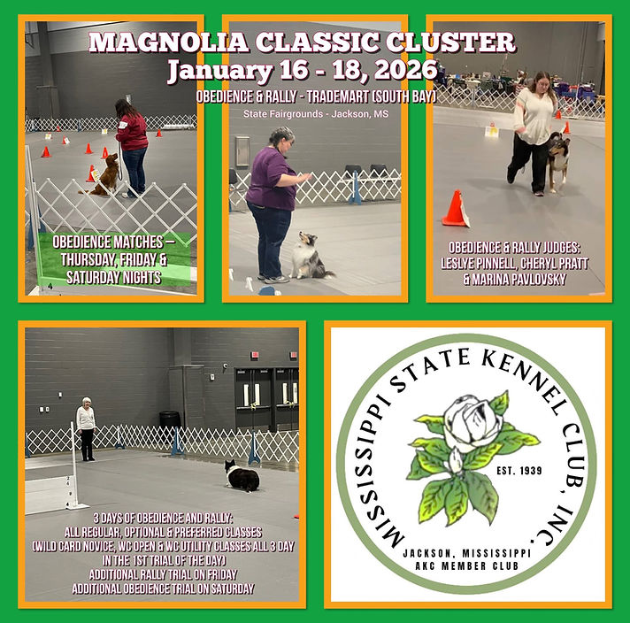 OBEDIENCE & RALLY.jpeg
