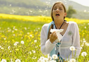 POLLENS.jpg