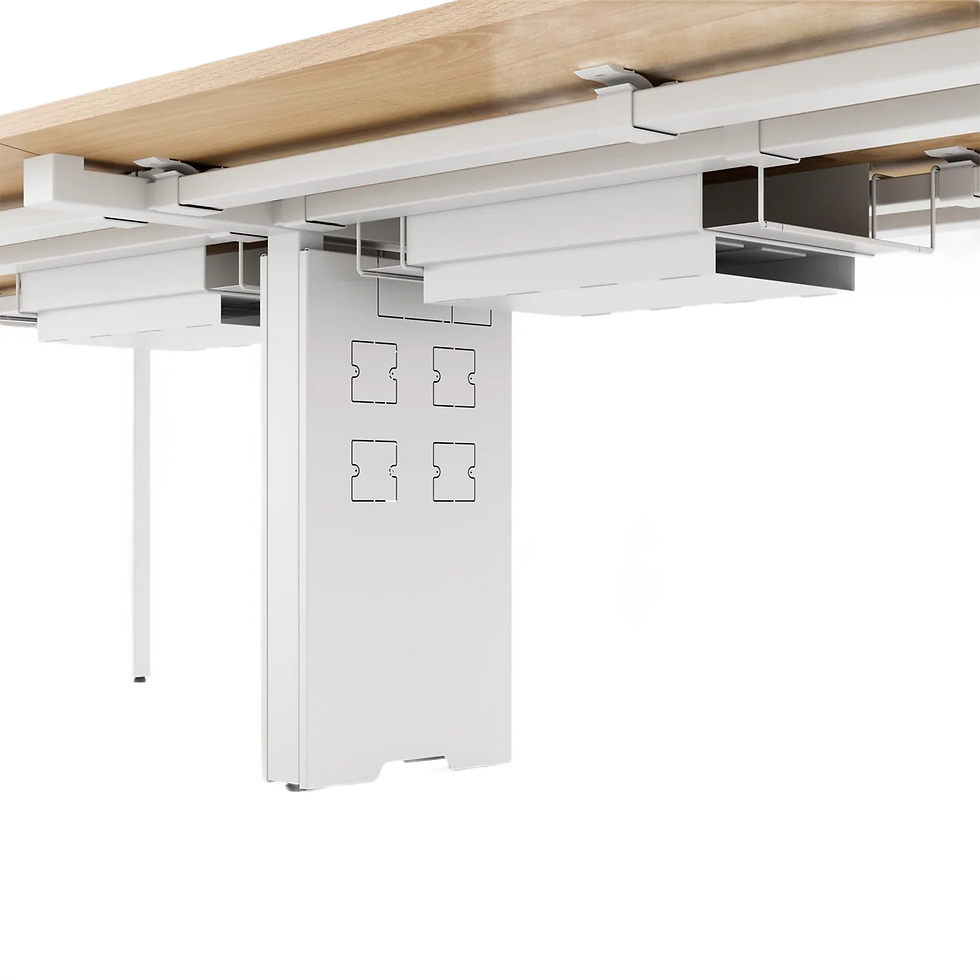Miniatura: Mesa de Reunión Premium con pasacables 280x120