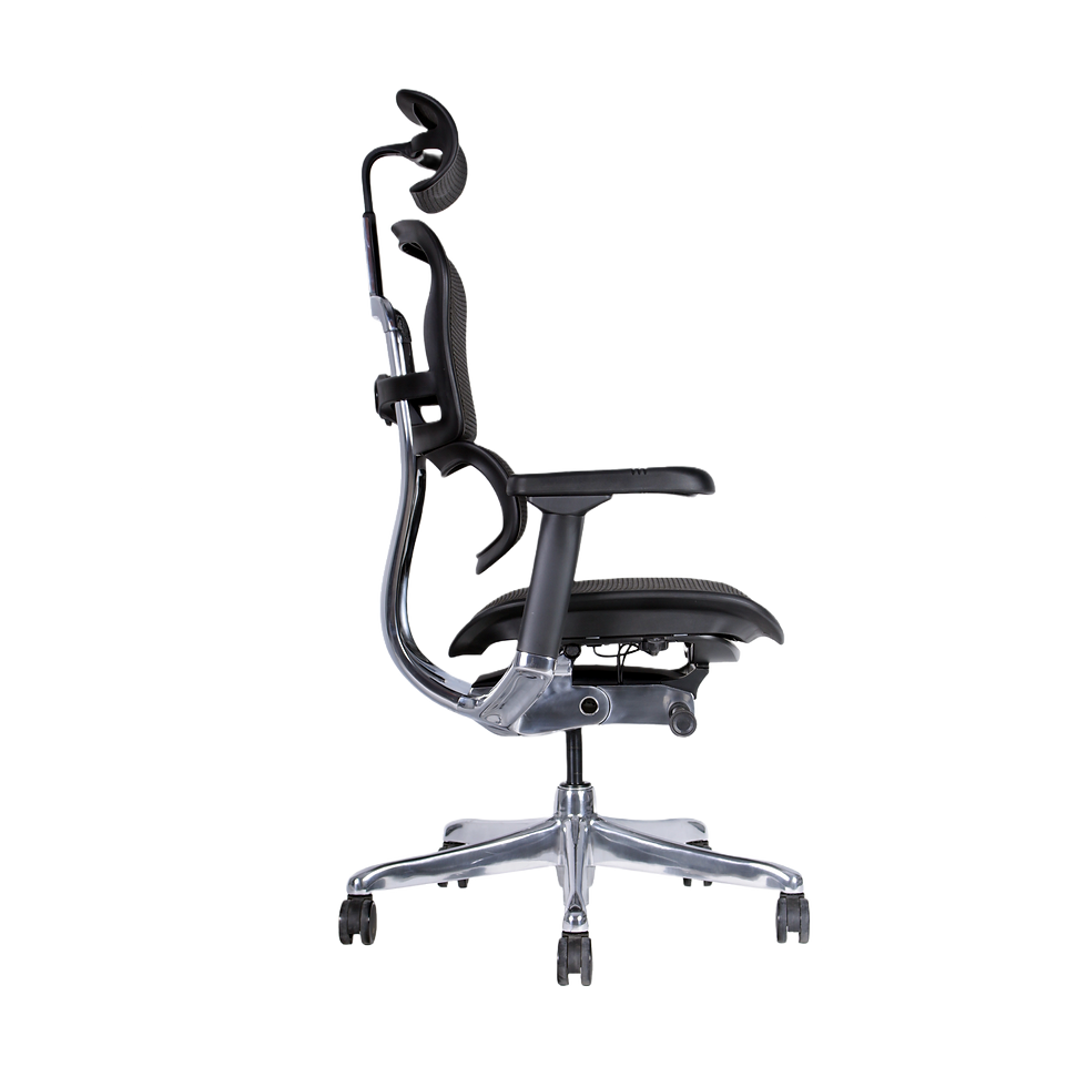 Miniatura: Silla Gerencial Ergohuman elite malla