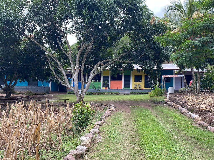 children's building.jpeg