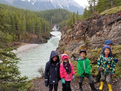 Resized_20190525_122951_6420.jpeg
