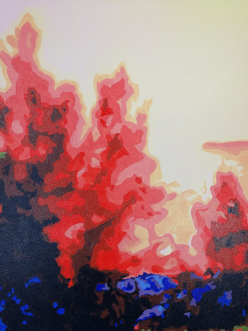 Thumbnail: Flame Trees