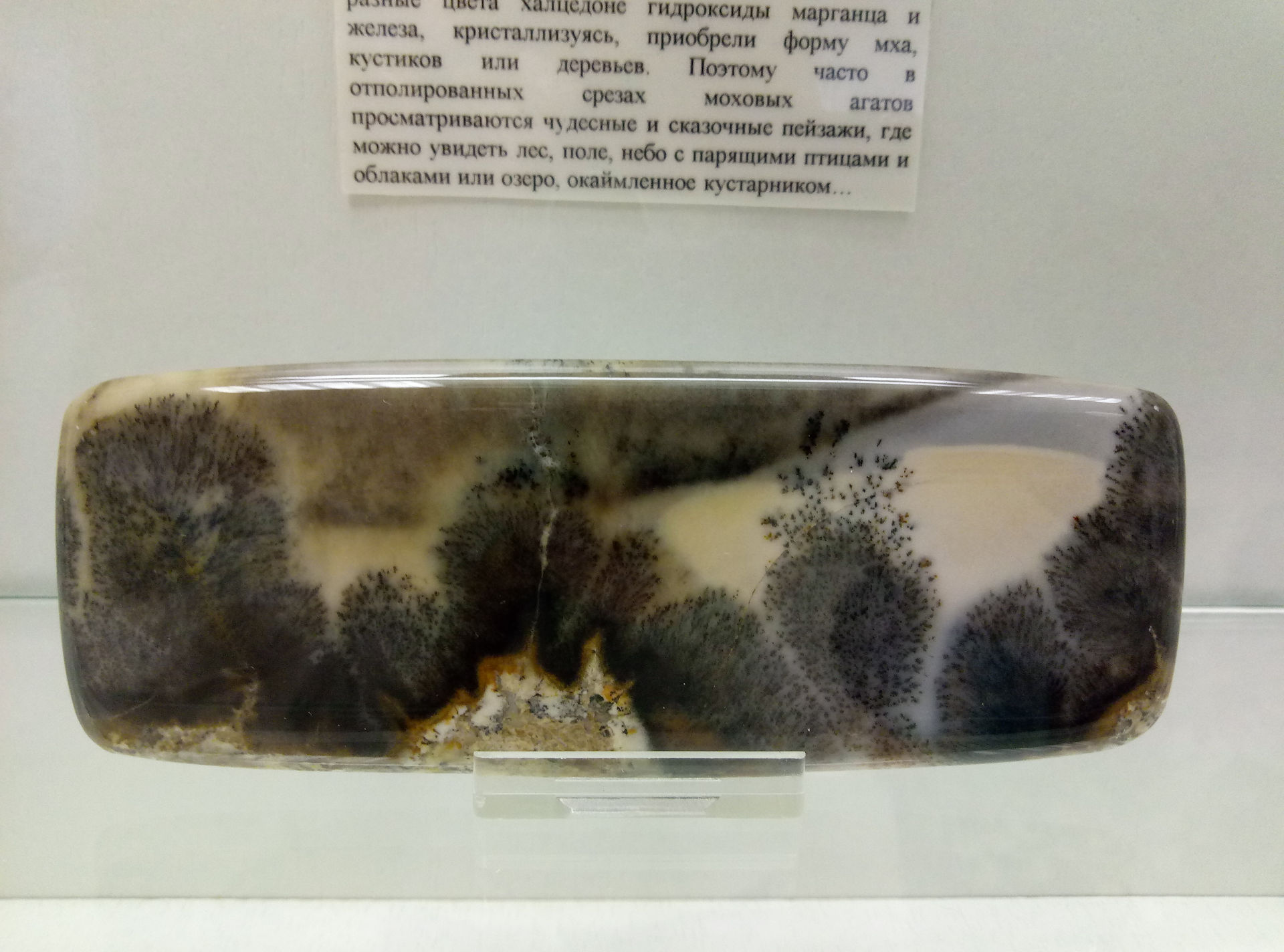 P91030-120018