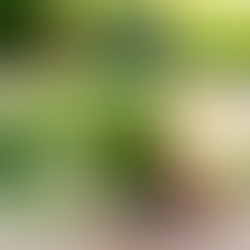 A természet ereje – miért éri meg nyersen enni a zöldséget és gyümölcsöt?