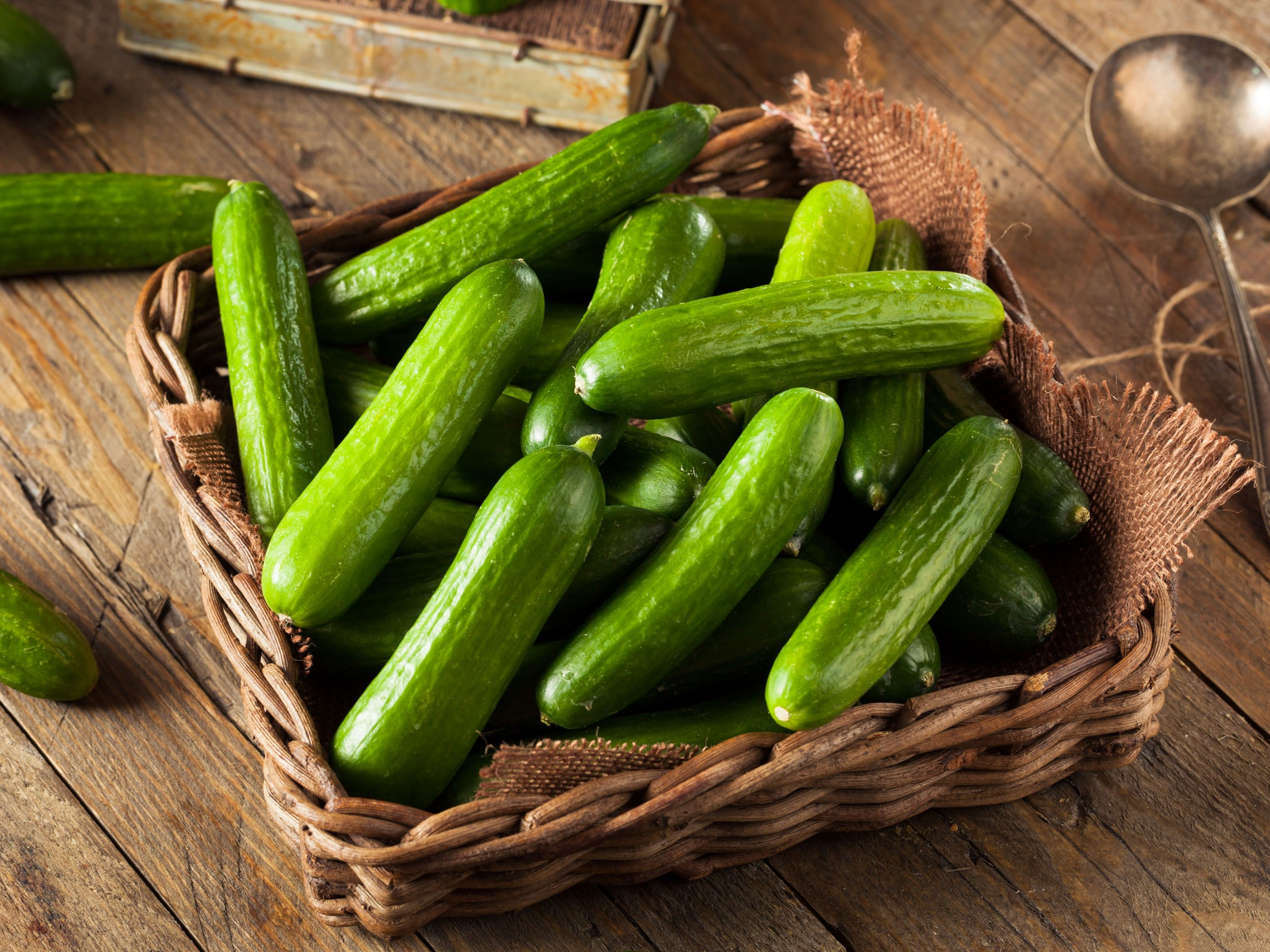 Bio Uborka (fürtös)– kb. 0,5 kg (0,45–0,55 kg)